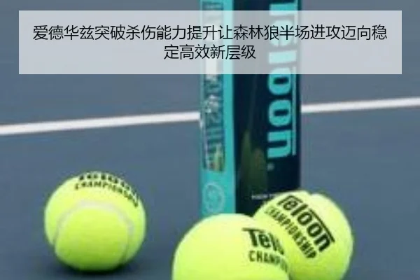爱德华兹突破杀伤能力提升让森林狼半场进攻迈向稳定高效新层级